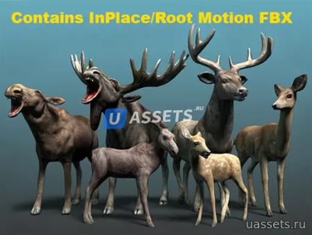 Forest Animal - Deer & Moose Family Pack