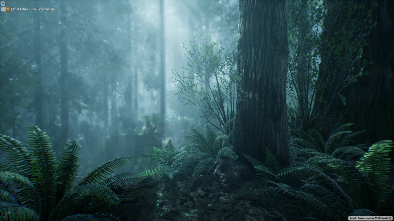 The Forest