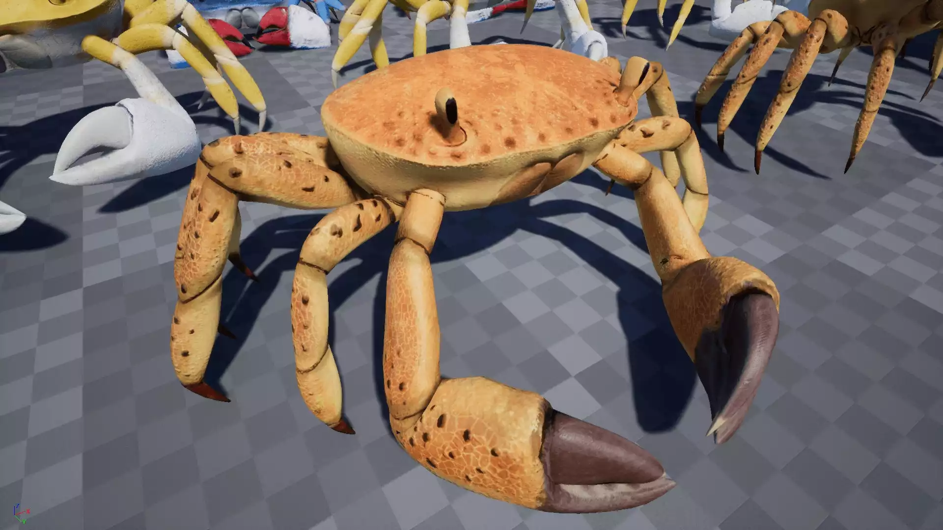 Crab - Animated Creature