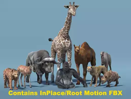 African Animal Pack 2