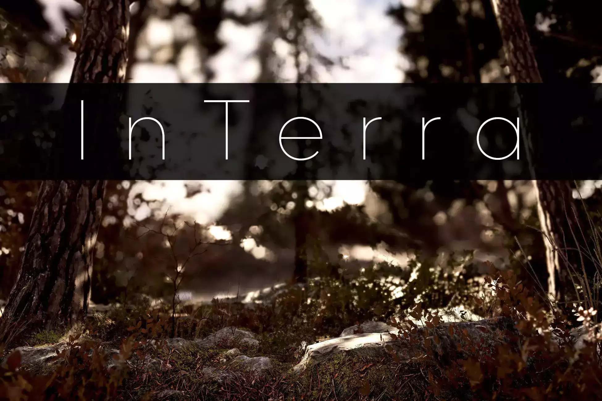 InTerra ~ Shaders for Terrain & its Objects