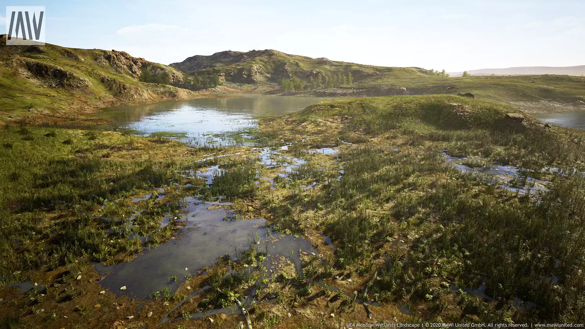 MW Meadow Wetlands Landscape