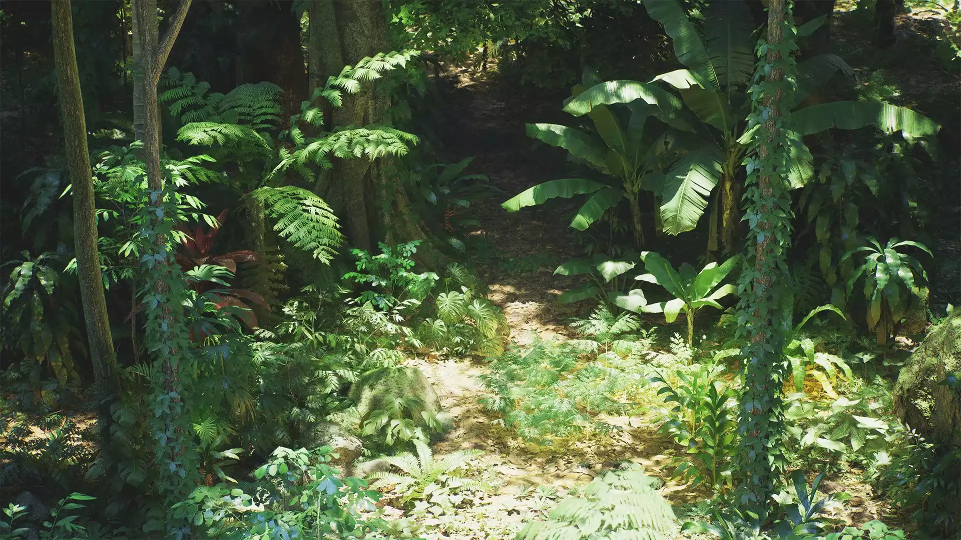 Rain Forest Pack