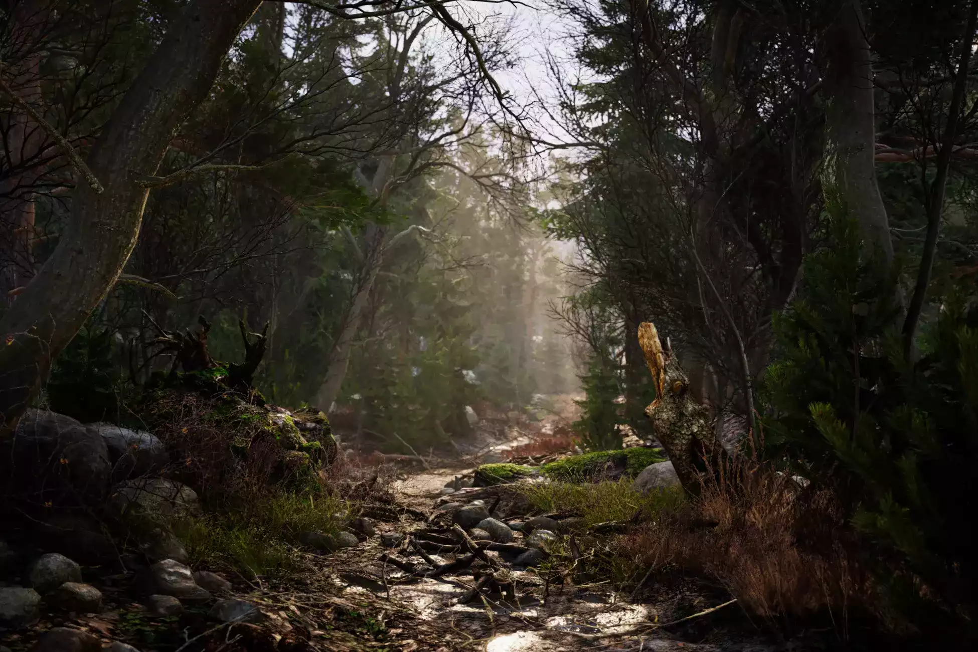 Real Landscapes - Valley Forest