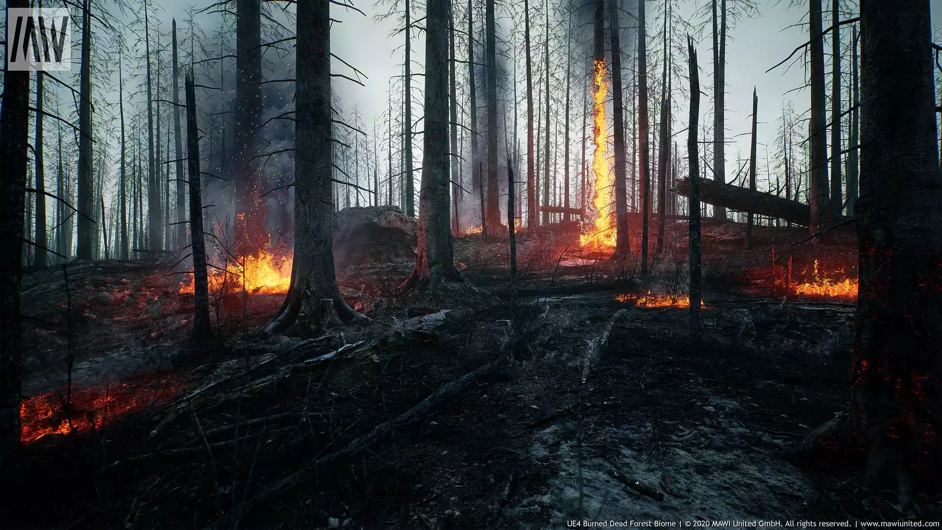 MW Burned Dead Trees Forest Biome