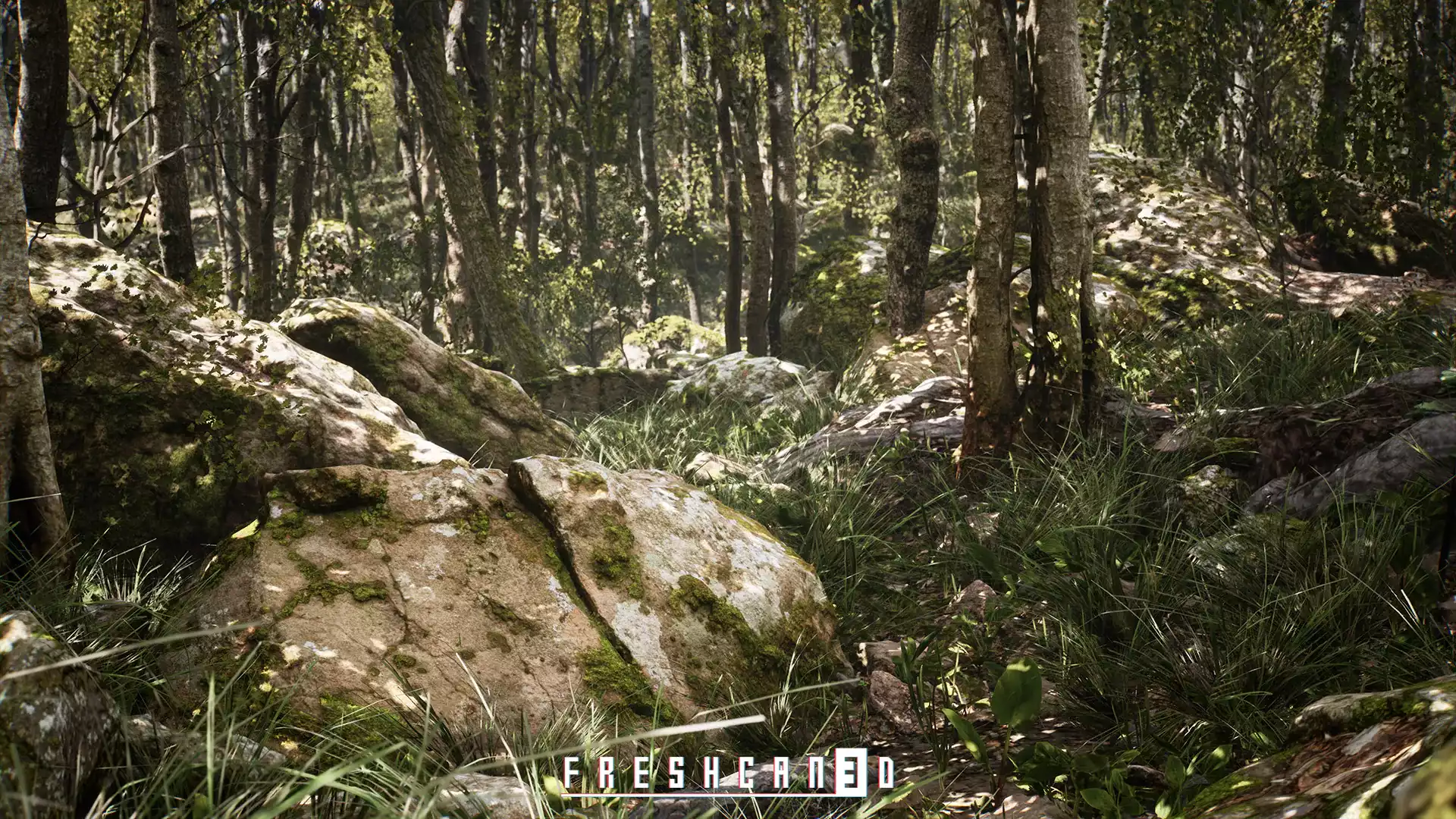 Procedural Oak Forest
