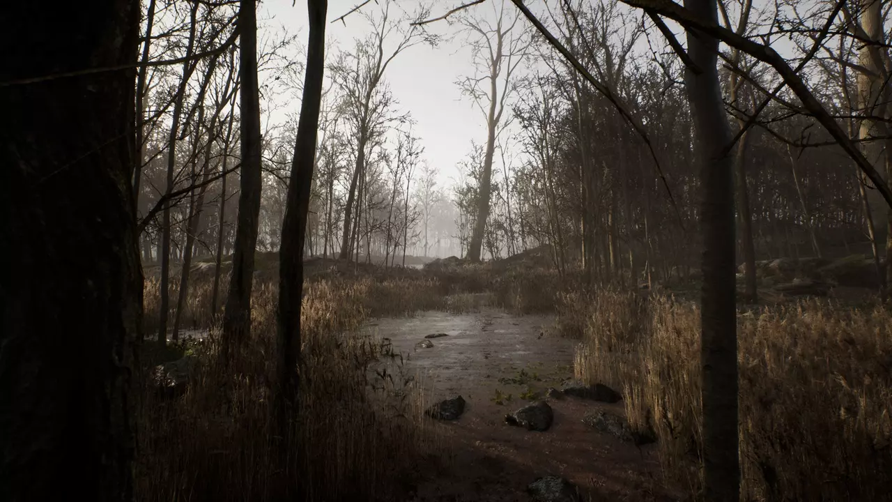 Procedural Forest