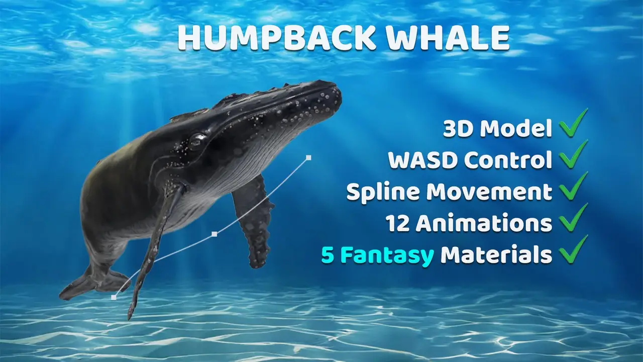 Animated Humpback Whale