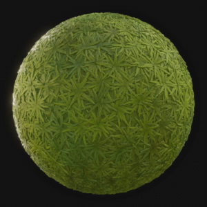 Grass 03