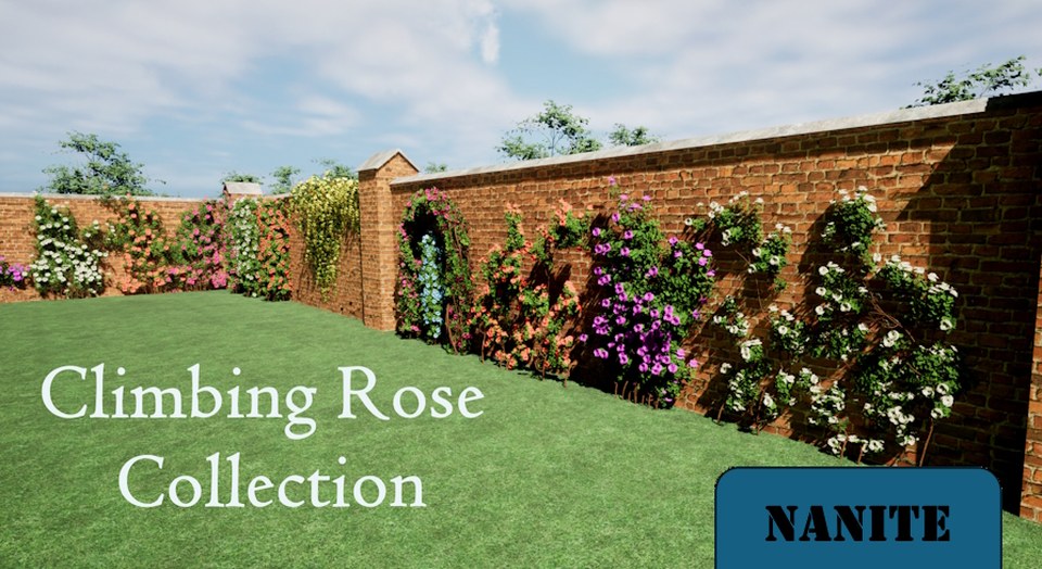 Climbing Rose Collection