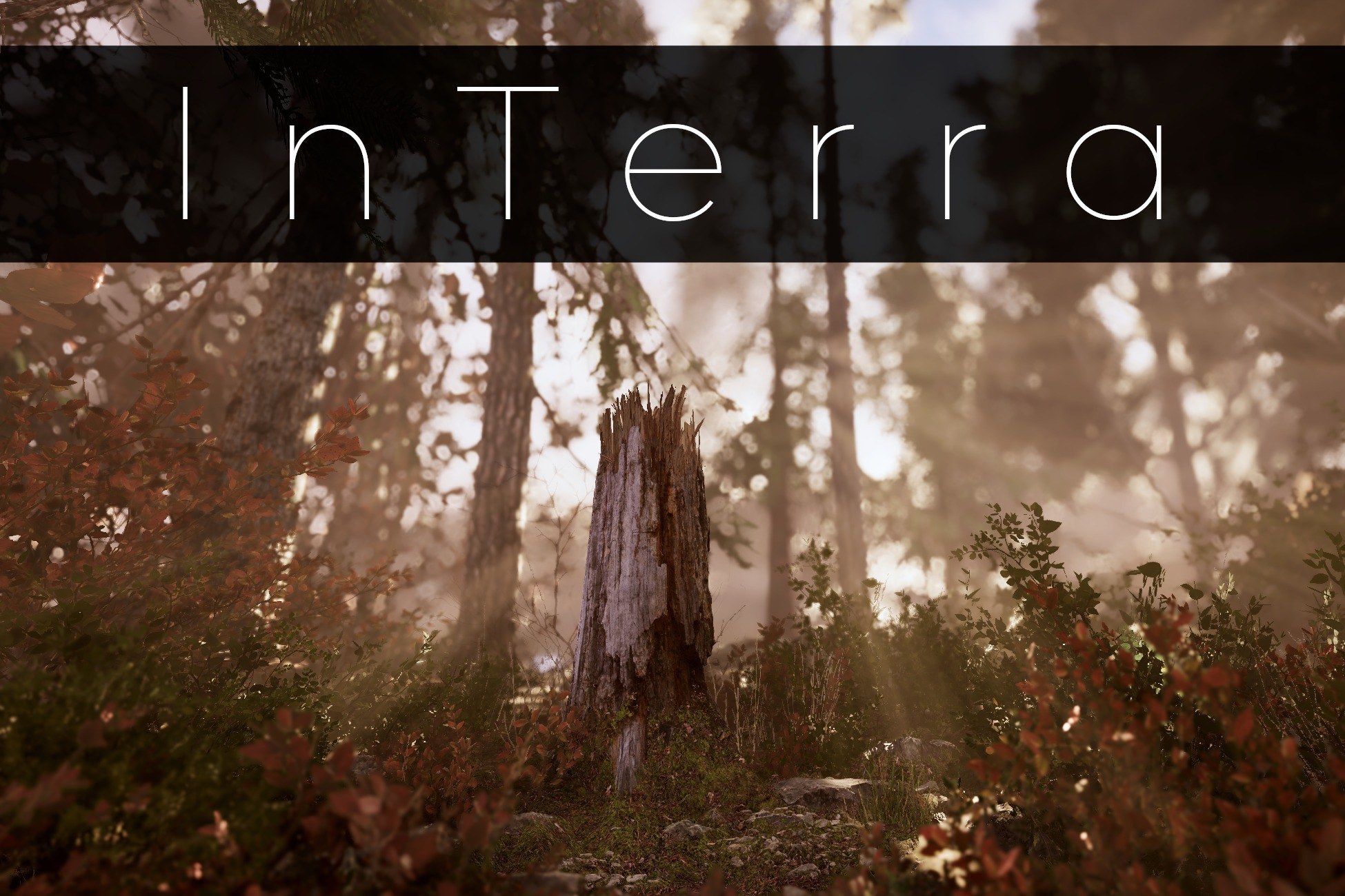 InTerra ~ Shaders for Terrain & its Objects