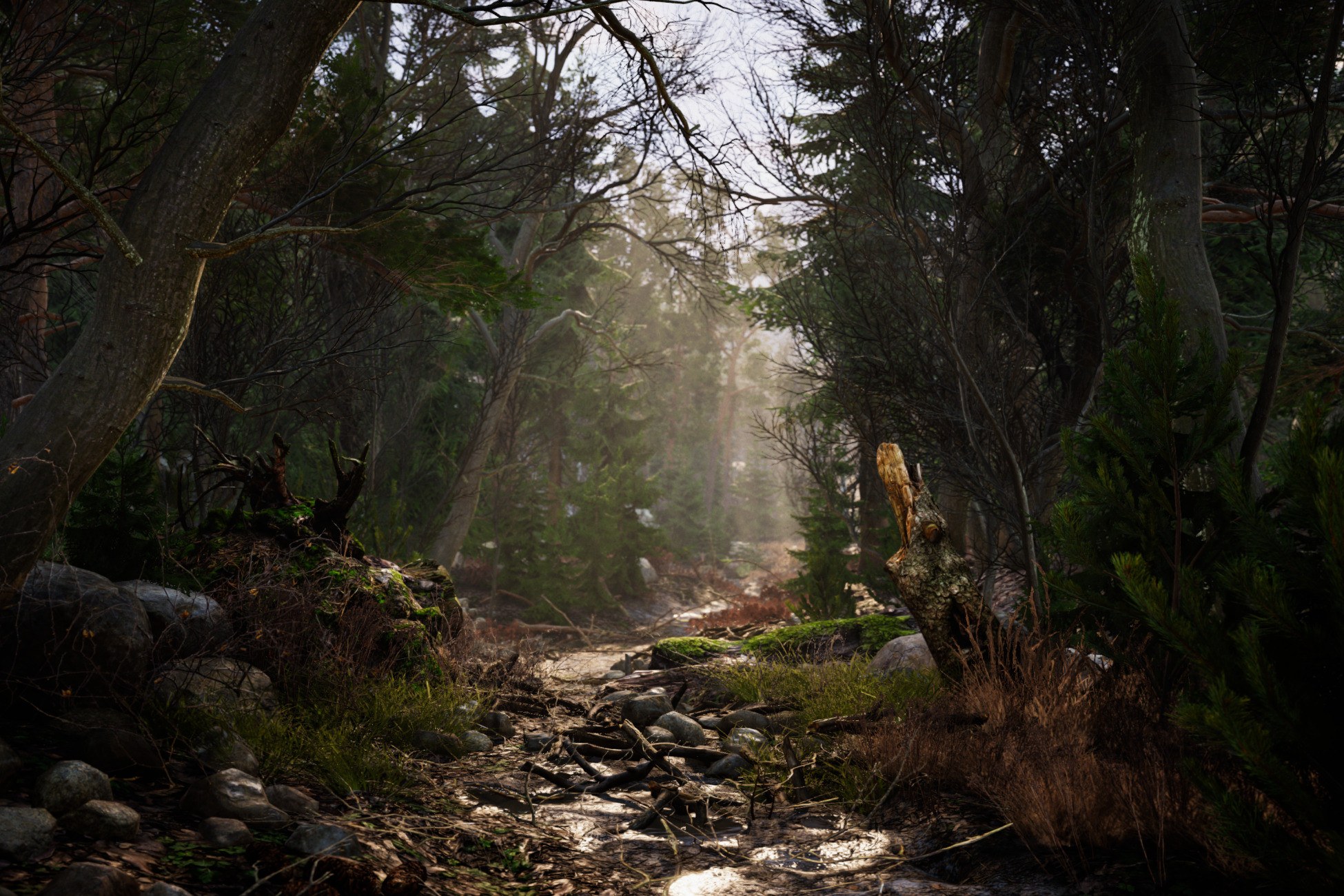 Real Landscapes - Valley Forest