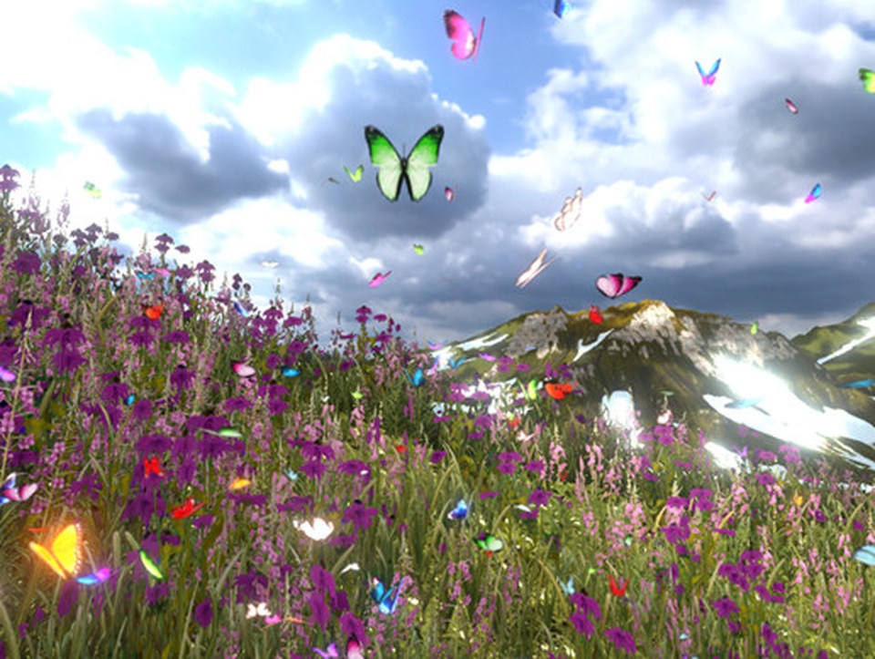 Butterflies pack 3D