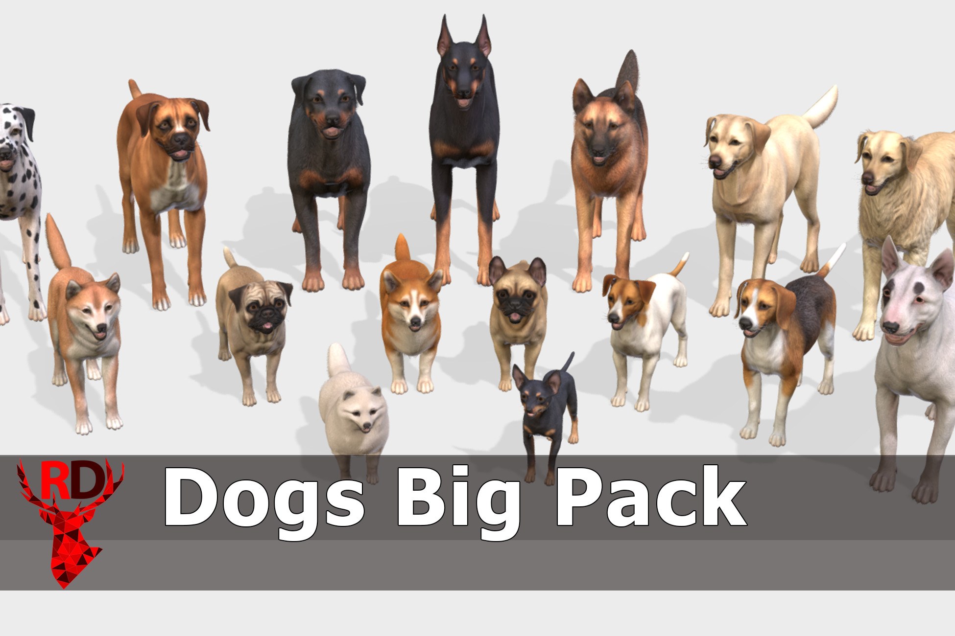 Dogs Big Pack