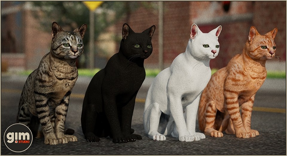 Animalia - Domestic Cat